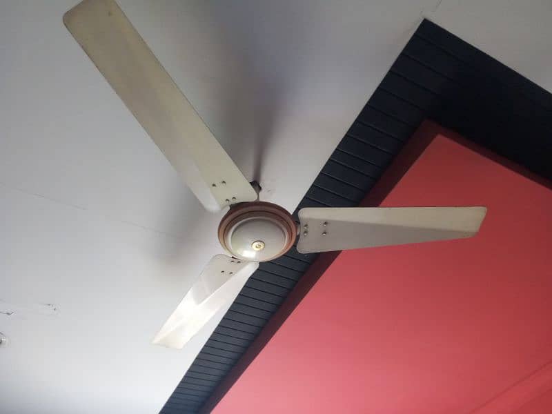 5 Roof Fans 56 inches off White colour Company (Beta Fan) 3