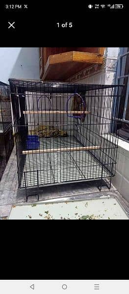 bird cage for lovebirds +92 309 4059529 3