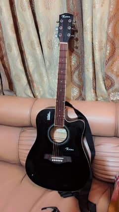 Acoustic Guitar Rosen Brand with Clips Wires and bag.