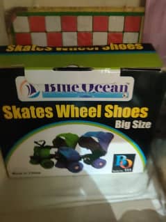 Newly Adorable skating shoes