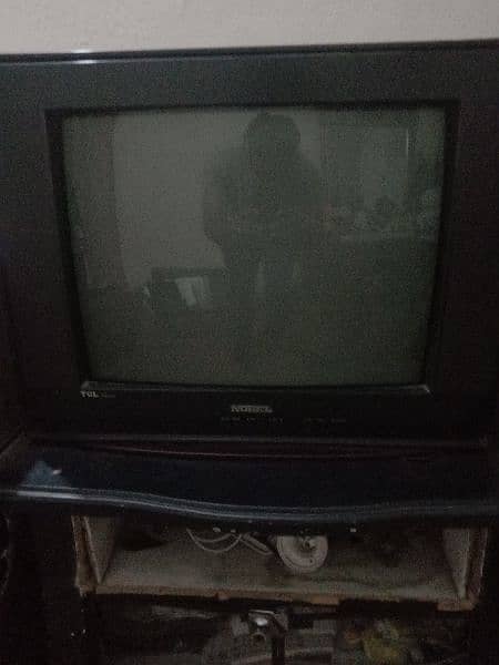 tv noble full size 2