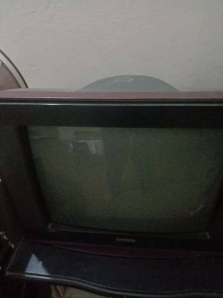 tv noble full size 3