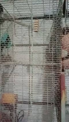 selling big cage urgent
