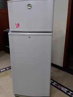 PEL Refrigerator Full Size for sale 0