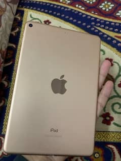 Ipad mini 5 , 256 GB , 9/10 condition just minor screen touch issue