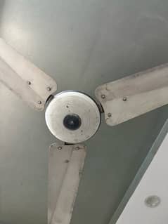 Ceiling fan / fan