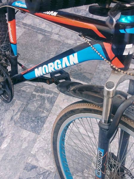 Morgan MTB for sale 2
