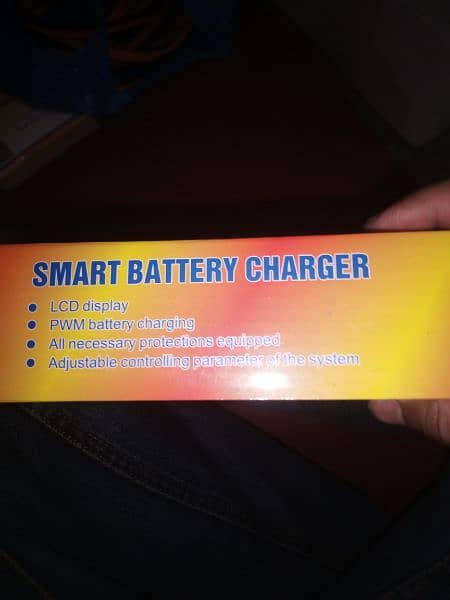 Smart Battery Charge Controller 12Volt 24Volt 2