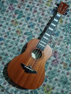 Imported Brand New Solid Wood "AKLOT" branded Ukulele high Quality