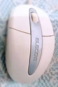 BRANDED MOUSE