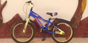 Mountain Bicycle for sale 0