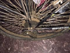 EYPTION WARRIOR CYCLE BICYCLE GOOD CONDITION BACK TYRE CHANGE
