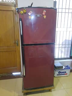 Haier Refrigerator Top Brand Jumbo style Rustless 03457741641 Size M