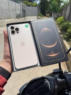 iphone 12 pro max 256gb dual physical approved [HK MODEL]