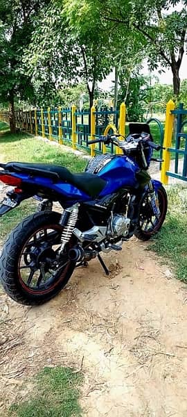 Road Prince Wego 150cc neat condition for sale 4