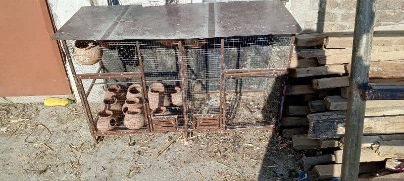 Hens / parrot cage 0