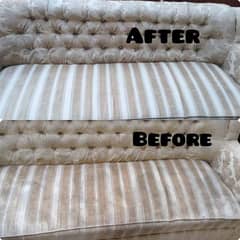 Sofa Carpet Rugs Cleaning/Water Tank Cleaning/Garden Spray03205086165