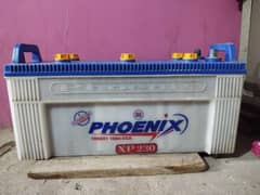 phoenix battery xp 230 0