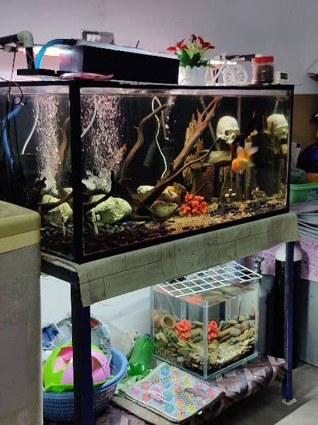 Aquarium Urgent Sale /Fish Tank/Fish Homs/Equarum Complete 0
