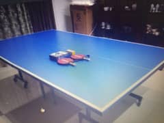 Table tennis direct from manufacturer 0