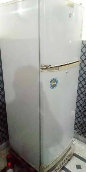 PEL Refrigerator 2009 1
