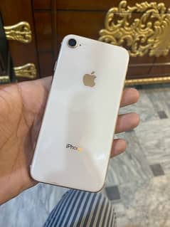iphone 8 golden colour pta approved