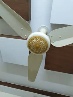 Orient Ceiling fan