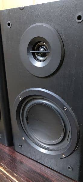 saudstrom speaker system 2
