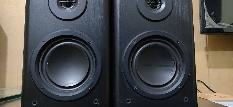 saudstrom speaker system 19