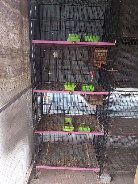 Tower cage and separate 4 cages available. 2