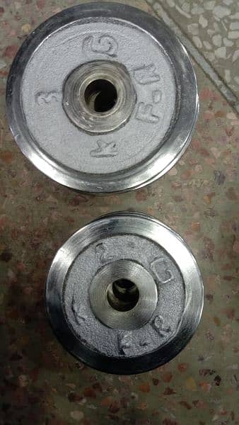 Dumbbell and plates 2