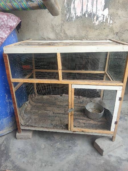 Hen / Birds cage 0