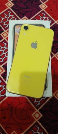 IPhone xr Pta approved urgent sale