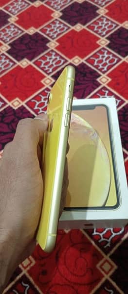 IPhone xr Pta approved 3