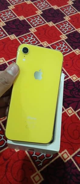 IPhone xr Pta approved 4