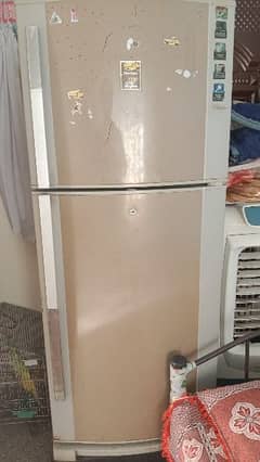 large fridge ache condition mein Ghar m us hu rhe hai