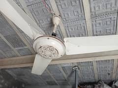 Celling Fan 56" Used، فل کاپر،  بڑے کمرے کے لیے زیادہ ہوا والا پنکھا