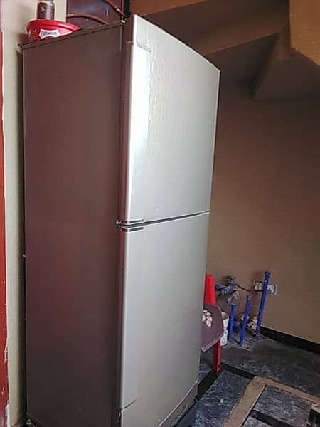 pel XL fridge 1