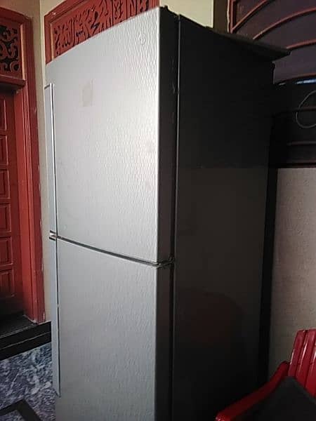 pel XL fridge 2