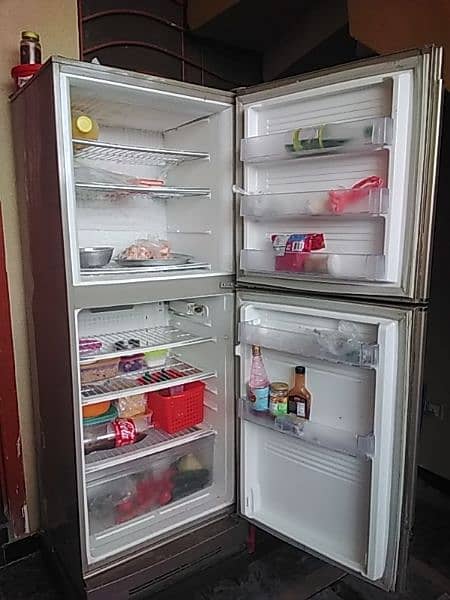 pel XL fridge 3