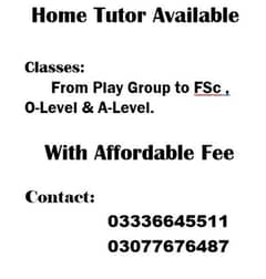 Home tutor available 0