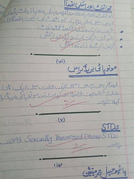 Professional Assignment Work in low cost (LANGUAGES: Urdu,English) 15