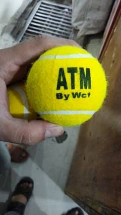 Wct tennis ball and cricket ball