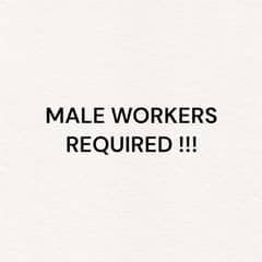 Male workers required