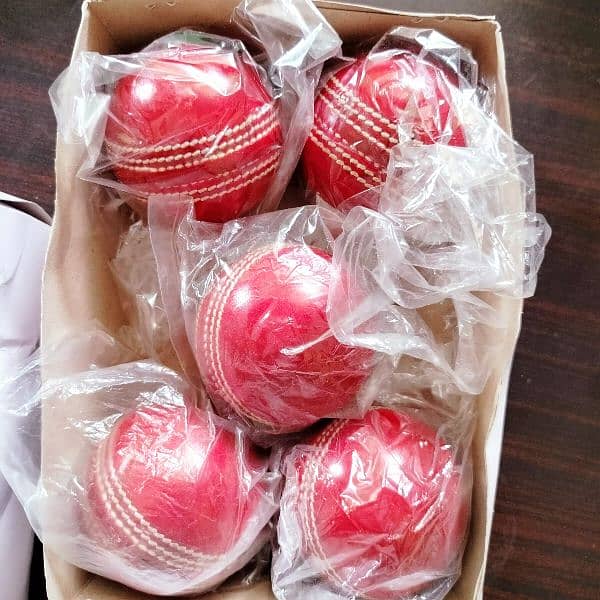 cricket ball 2