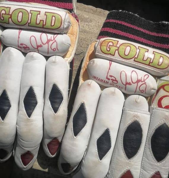 gloves / ca gold gloves / izimam ul haq signed gloves 6