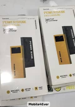 Powerbank 10000mAh Multi Protector