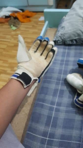 Gray Nicols Gloves 11