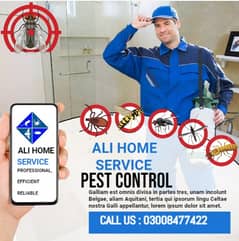 Pest Control/Termite Control/Fumigation Spray/Deemak Control Services