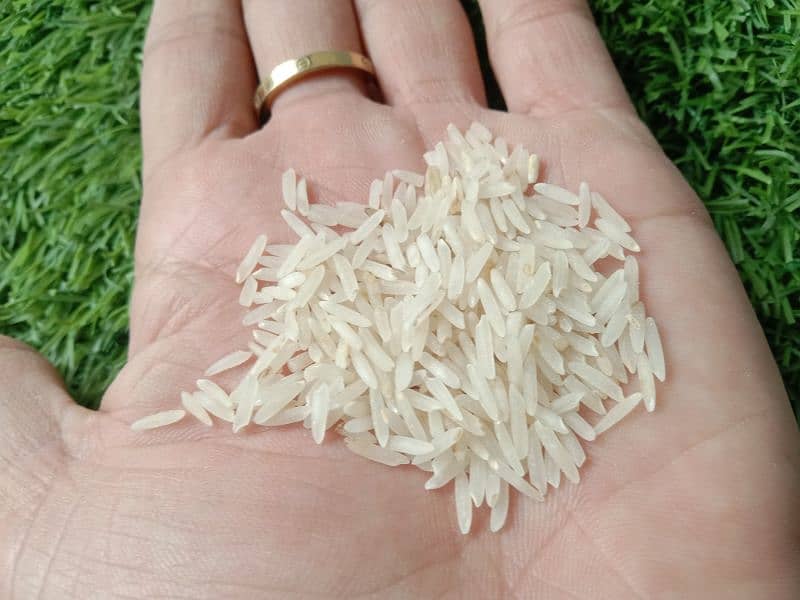 گھر کا سوپر چاول براے فروخت 1